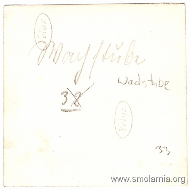 33 (32) - Wachstube in Vogesen B.jpg